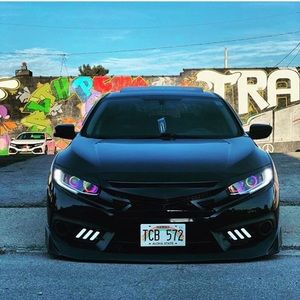 Meet your Posher, Hector